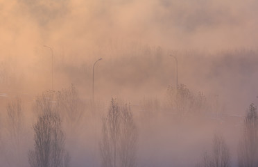 Obraz na płótnie Canvas Smog, fog and pollution in Lyon during a winter sunrise.