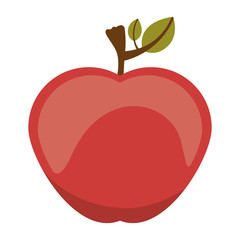 Apple fruit icon. healthy organic and fresh food theme. Isolated design. Vector illustration
