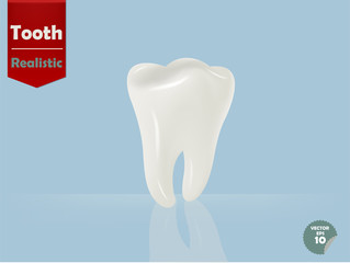 illustration of realistic beautiful tooth and reflection shadow on light blue background
