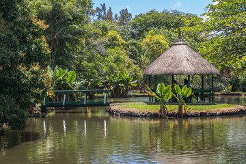 Obraz premium Pamplemousses botanical garden, Mauritius