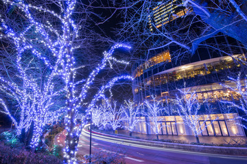 六本木のイルミネーション