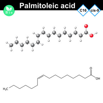 Palmitoleic fatty acid moelcular structure