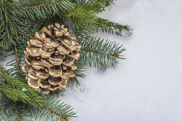 Golden cone and fir branches on snow outdoors with space for text