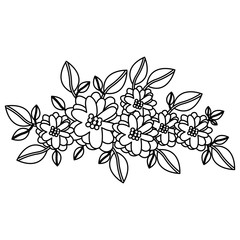 Flowers icon. Decoration garden ornament and nature theme. Isolated design. Vector illustration