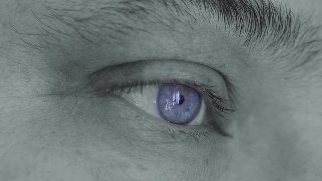 Detail of violet eye