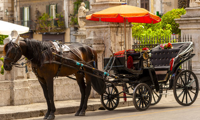 Fototapeta na wymiar horse and carriage in the Quattro Canti, one of the octagonal four sides of Baroque square in Palermo - Italy