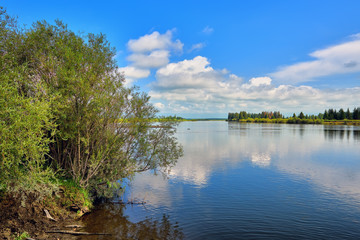 Green willow on bank of Irkut River