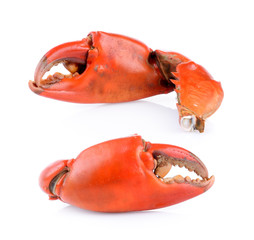 Boiled crab claws isolated on white background © sommai