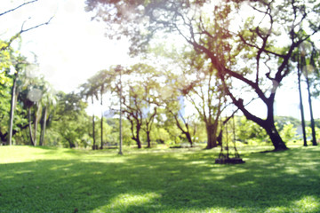 Fototapeta na wymiar defocused bokeh background of garden trees in sunny day