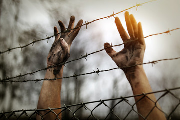 Refugee men and fence - 129794561