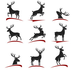 Deer set. Vector