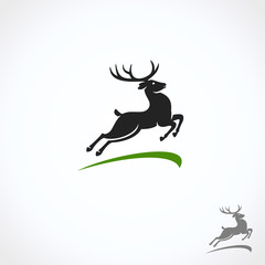 Deer set. Vector