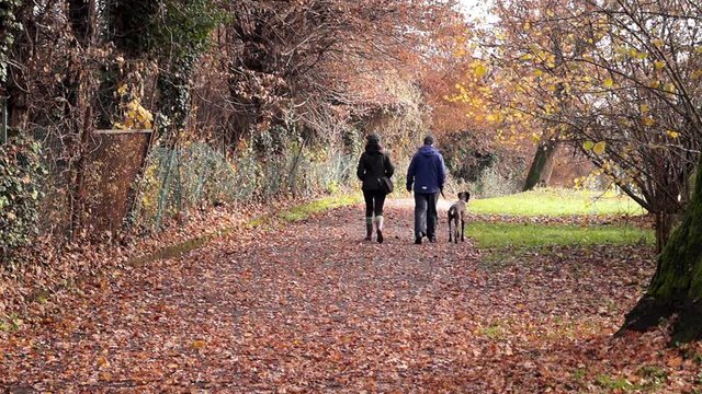 Coppia in gita al parco col cane