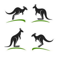 Kangaroo set. Vector