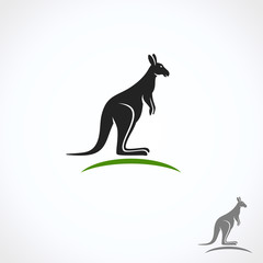 Kangaroo set. Vector