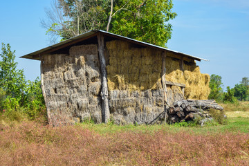 Thai Dry hay stacks in rural wooden barn interior