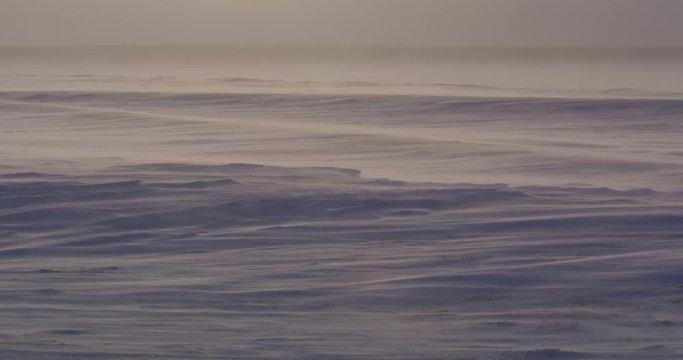 Snow streams over frozen snow in arctic glow of sunset