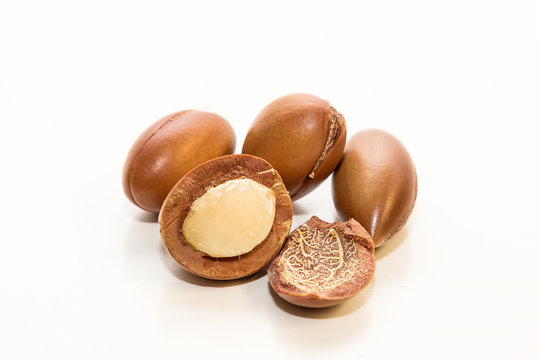 Seeds of argan oil, with interior detail