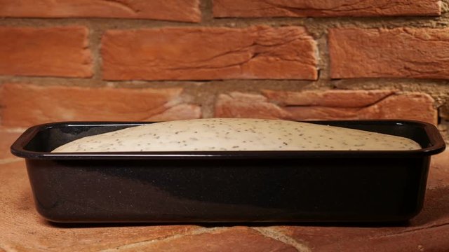 Timelapse of making a bread - leaven the dough on warm brick stove