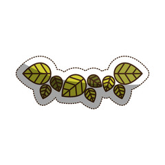 Leaves icon. Decoration garden ornament and nature theme. Isolated design. Vector illustration