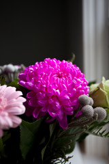 Vibrant Pink and Green Flowers