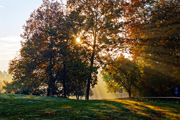 Panorama con raggi di sole fra gli alberi parco di Monza entrata Vedano 