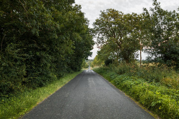 Fototapeta na wymiar Long Road In The Countryside