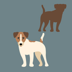 Terrier dog vector illustration style Flat set 