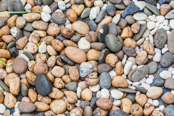 Gravel decorated