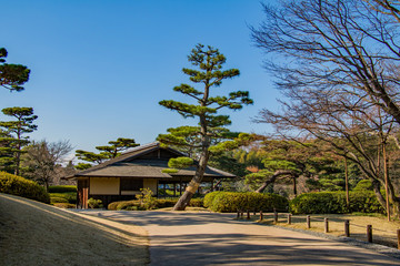 日本庭園