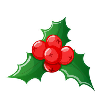 Christmas cartoon colorful holly on a white background. Vector.