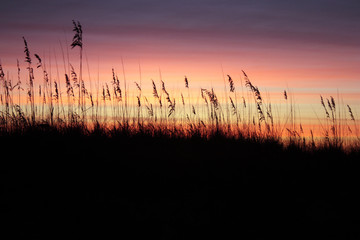 Beautiful Sunrise in Virginia