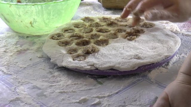 Making dumplings at home / Making dumplings at home using a special form for raviol