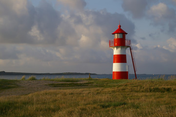 Faro