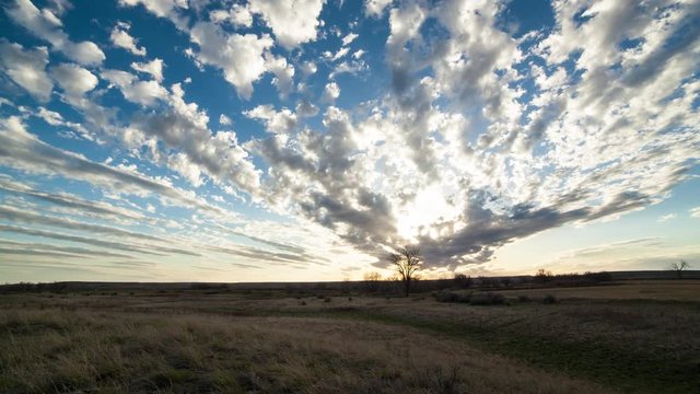 Timelapse afternoon clouds streaming over lone tree on prairie