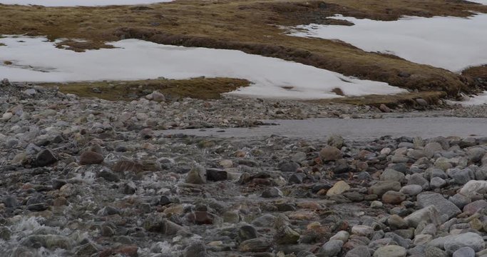Scenic pan of arctic stream on summer tundra