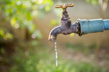 Brass water tap in nature background.