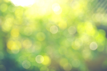 Blur image of sun light in forest background.(Processed in vintage colour tone)