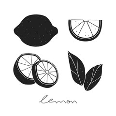Lemon set on the white background. Black and white kitchen illustration 