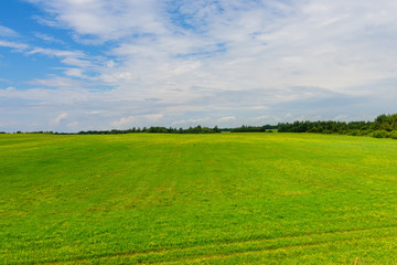 Beautiful green meadow in summer, a traditional Russian landscape, Pskov, Russia.