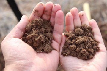 a man's and a woman's hand that hold soil