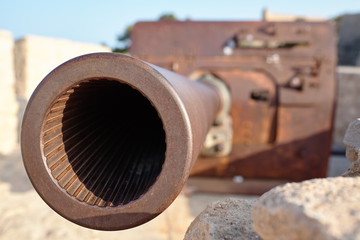 Muzzle artillery in a fortress