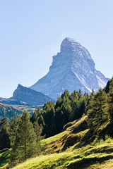 Obraz premium Matterhorn mountain and green forest at Zermatt in Switzerland