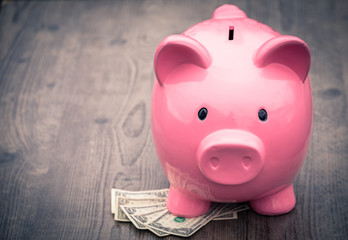 Piggy-bank /money savings / concept of growth.