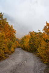 Obraz premium Empty country road in autumnal forest in Crimean mountains