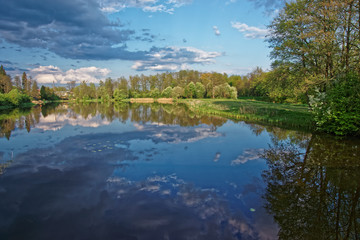 Trees and sky mirrored in pond at Bialowieza National Park