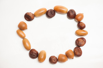 chestnut and oak acorns
