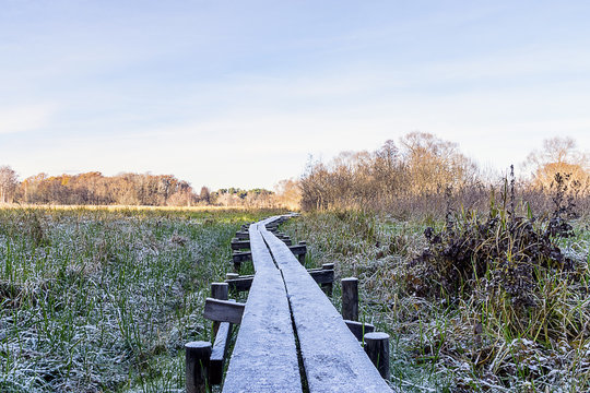 En frostig sp&aring;ng som g&aring;r &ouml;ver f&auml;ltet