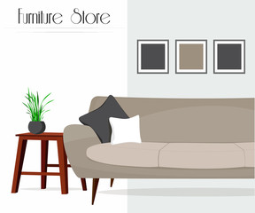Furniture store. Living room.