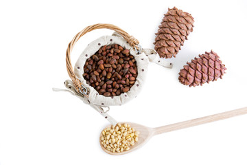 Basket of cedar nuts and cones on white background